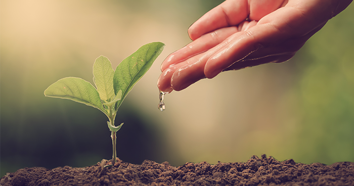 Gestão e Políticas Ambientais ➠ [Doutoramento].png