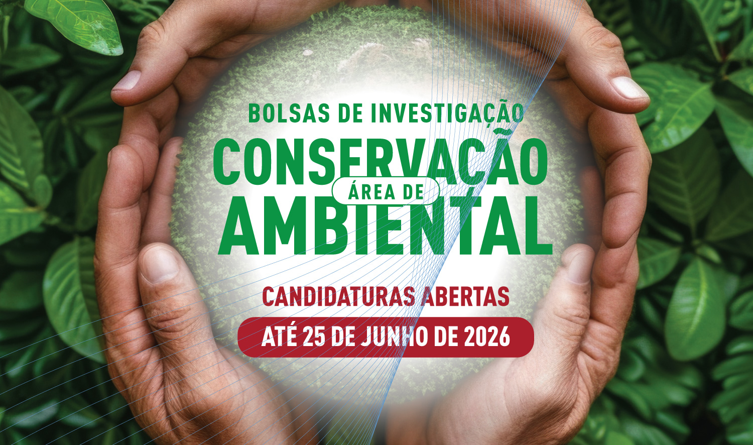 Abertas candidaturas para bolsas de investigação na área da conservação ambiental