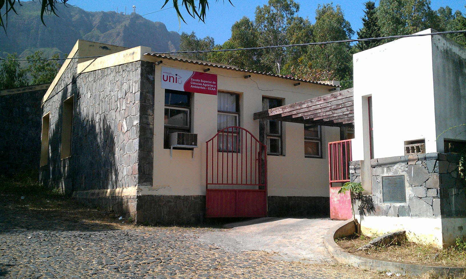 28884180946 7d51483c4b o