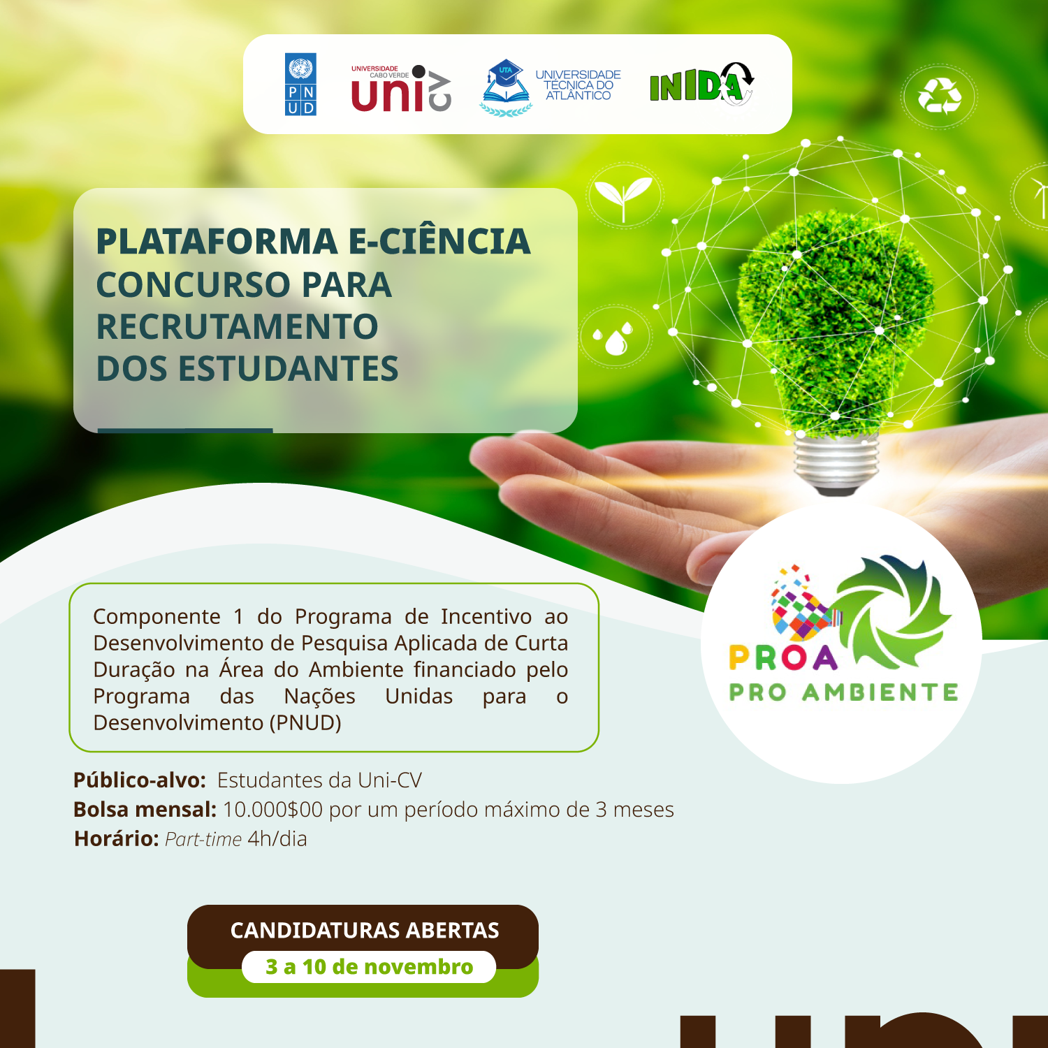 Bolsa Plataforma E Ciencia