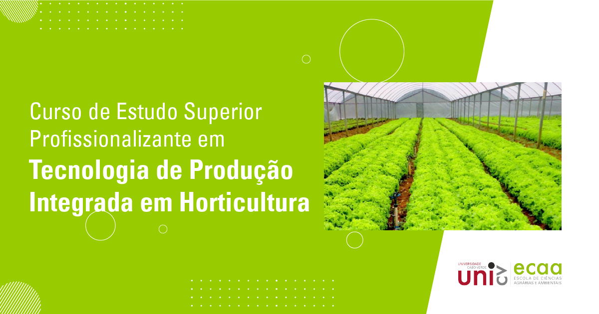 Tecnologia de Produção Integrada em Horticultura