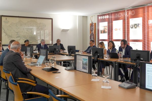 icm059724732D12E-1472-3487-7628-06599C316FA5.jpg