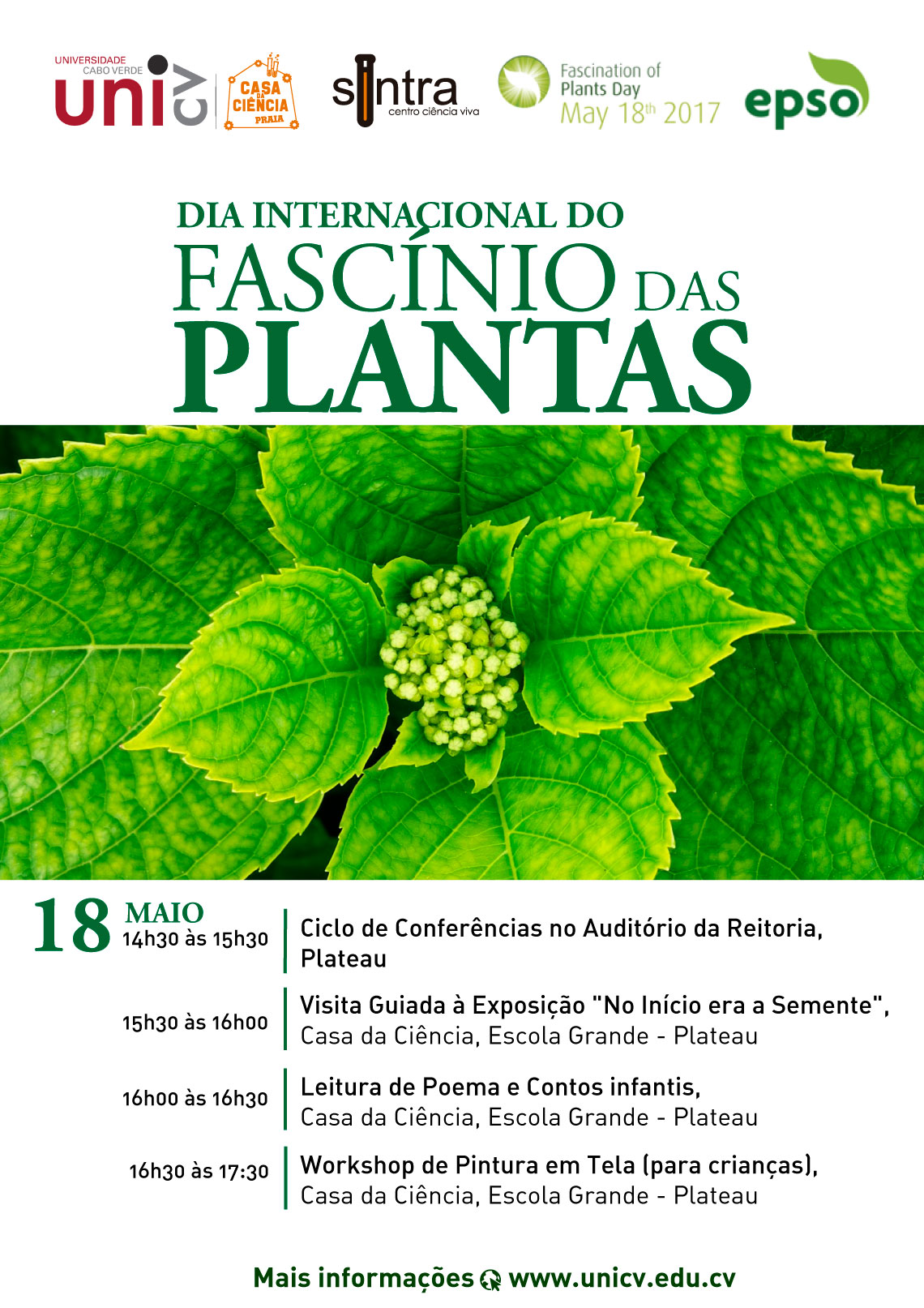 fascinios-plantas.jpg