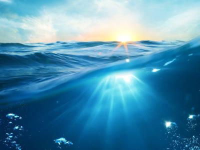 34 A Estrategia Do Oceano Azul.site Cover